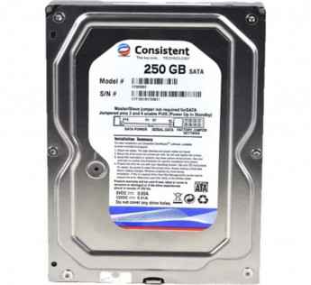 CONSISTENT 250 GB FOR DESKTOP HARD DISK