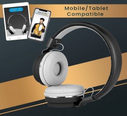 ZEBRONICS STORM HEADPHONES WITH MIC